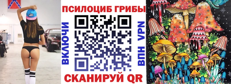 Псилоцибиновые грибы мицелий  купить наркотик  Благовещенск 