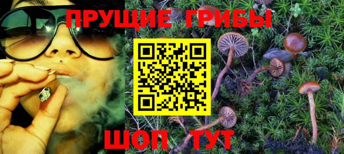 Галлюциногенные грибы Cubensis Благовещенск