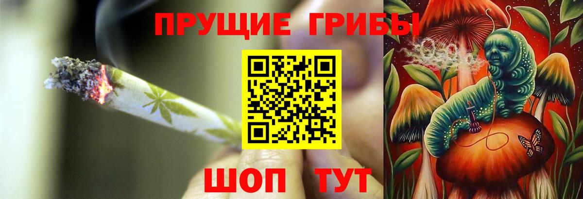даркнет сайт  Галлюциногенные грибы GOLDEN TEACHER  Благовещенск  Вход с VPN  Галлюциногенные грибы Cubensis 